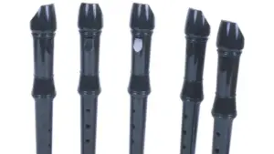 What Are The 5 Types Of Recorders? – Dynamic Music Room