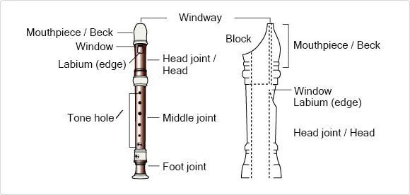 alto-overview-recorders-brass-woodwinds-musical-instruments