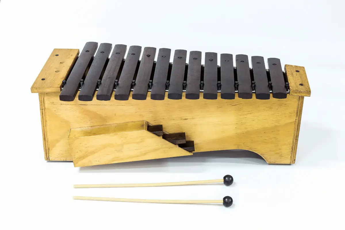 12-Tone B Blesiya Toddler Xylophone Glockenspiel for Kids with 2 Mallets 