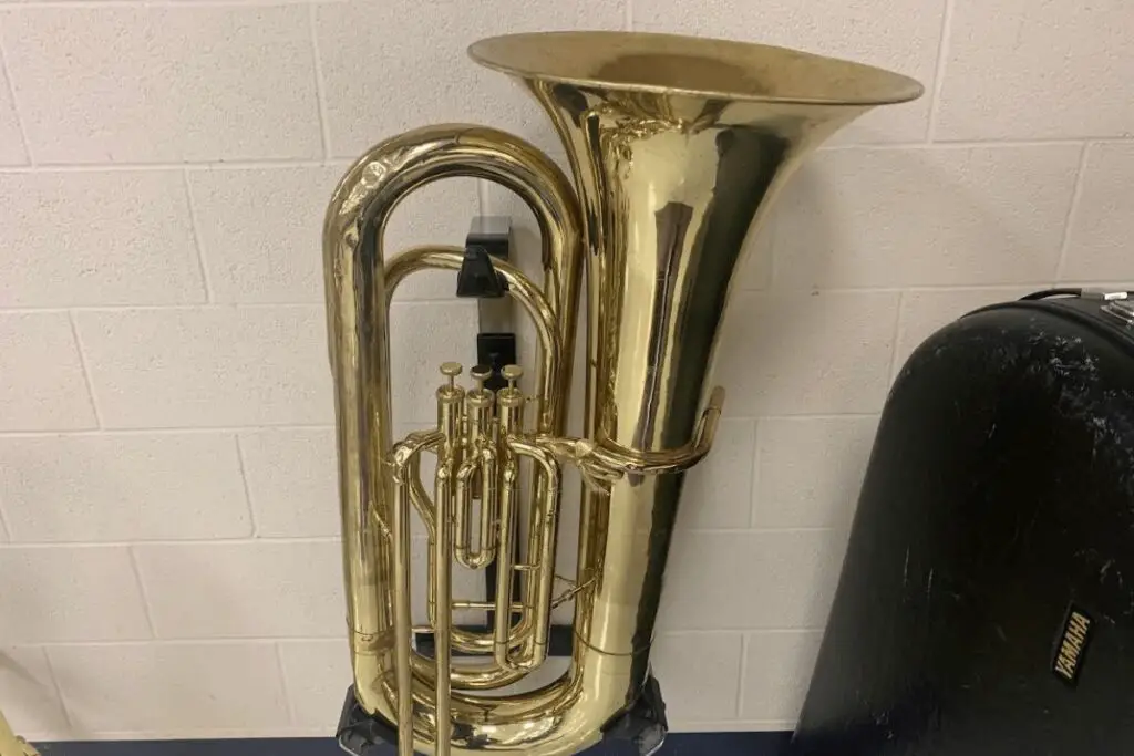 members of the tuba family