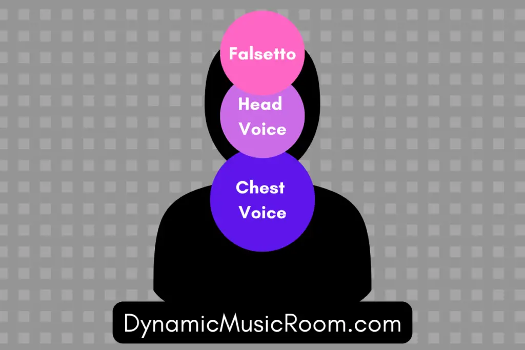 Head Voice Vs. Falsetto Chart, Tips, And Answers Dynamic Music Room